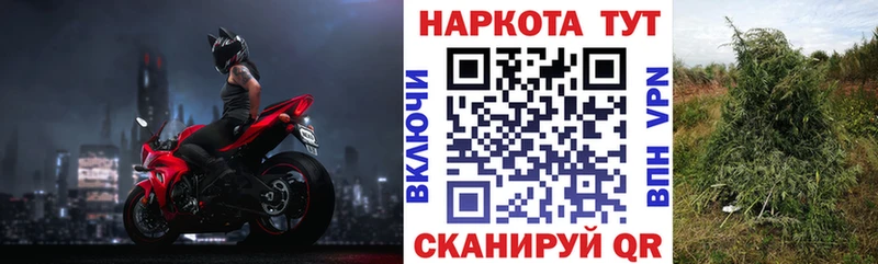 Где продают наркотики Дубовка ГАШИШ  КОКАИН  СОЛЬ  Мефедрон 