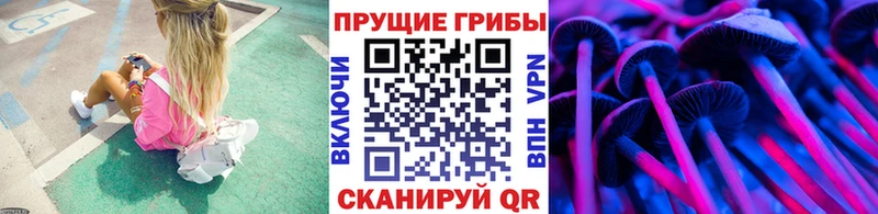 наркошоп  Дубовка  Галлюциногенные грибы GOLDEN TEACHER 